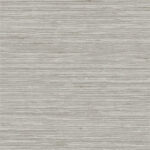 Coulisse Mombassa Oyseter