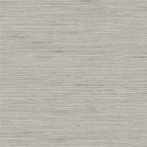 Coulisse Mombassa Oyseter