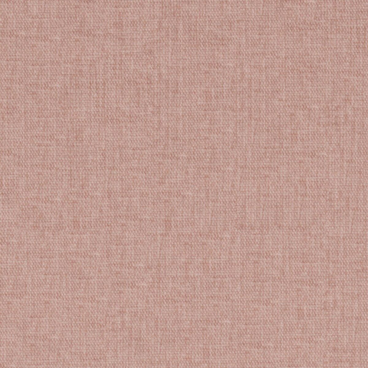FibreGuard Giant 40-Blush - Imagen 4