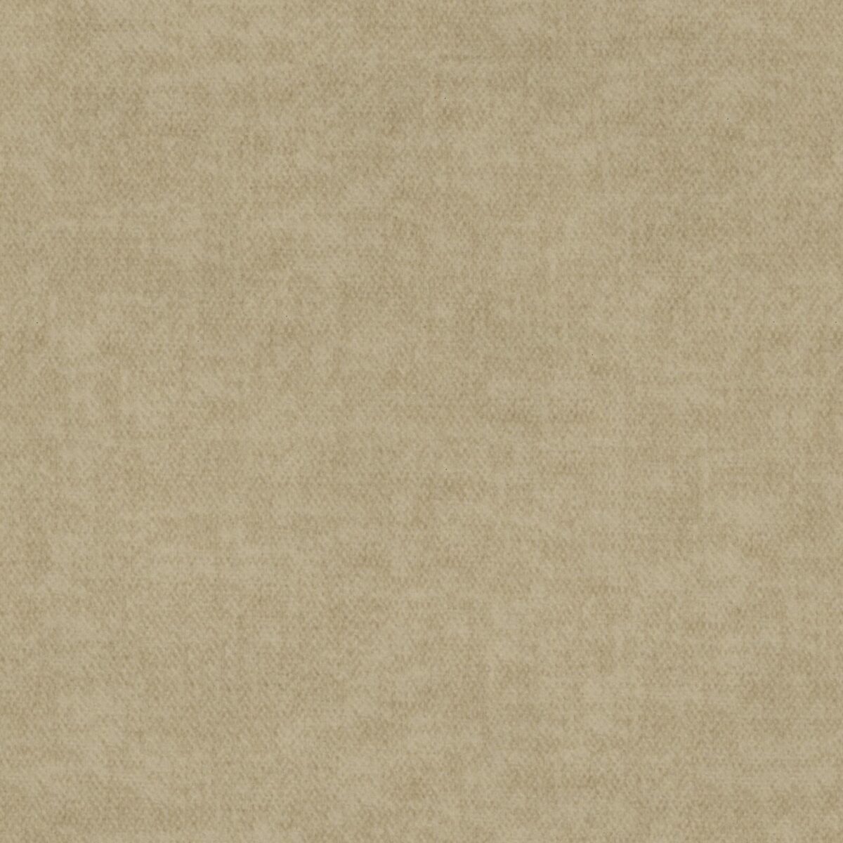 FibreGuard Indulge 12-Sand - Imagen 3