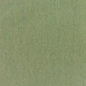 Sunbrella Canvas Fern