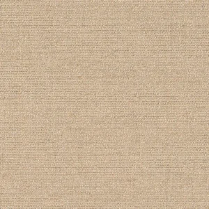 Sunbrella Nuance Sand